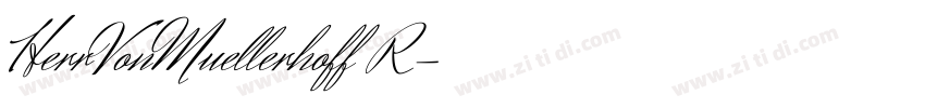 HerrVonMuellerhoff R字体转换